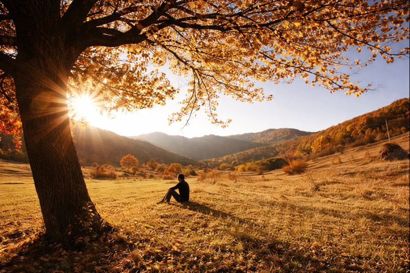 معنى الحياة للإنسان